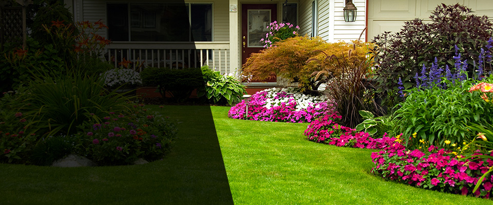 Bladenboro Landscapers