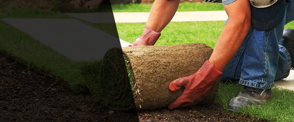 Bladenboro Landscapers